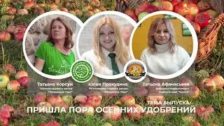 Осенние работы в саду надо начинать в августе!