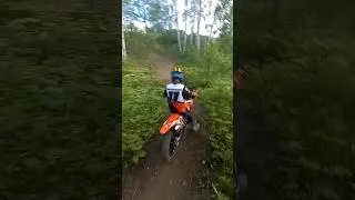 По следам #Тропа Бобра #regulmoto #enduroteam54 #enduro #эндуро #holeshot #motocross #рек  #shorts