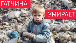 ЭКОЛОГИЧЕСКАЯ КАТАСТРОФА Гатчины | История УМИРАЮЩЕГО ГОРОДА