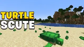How to get turtle scute in Minecraft 1.21
