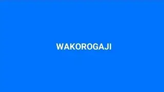 ORGE - WAKOROGAJI  (5REESTYLE)
