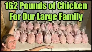 162 Pounds of Chicken For Our Large Family