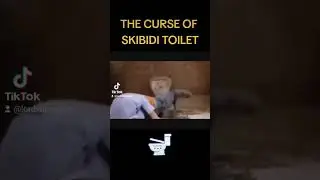 THE CURSE OF SKIBIDI TOILET 