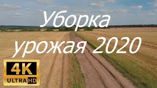 Уборка урожая 2020