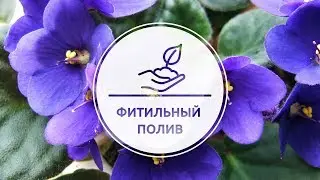 Фитильный полив