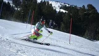 Què és la FESA Cup? Per Roger Vidosa.