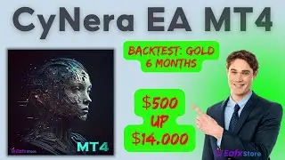 CyNera MT4 backtest 2024 | FX STORE EA