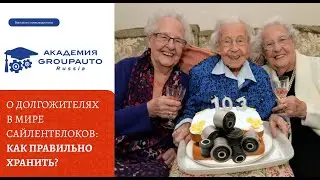 Сайлентблоки: как правильно хранить и как продлить срок жизни? 