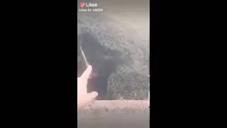 Ой я уронил свой самокат в болото на 1-ом это будет Кстати ты выучил новое слово на нимецком Ха!