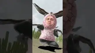 СуперХаус Жиза 😂2