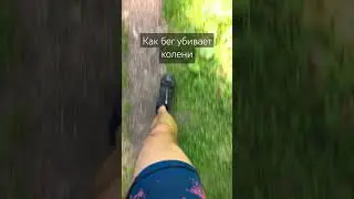 Бег убивает колени?