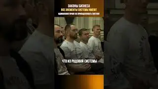Системные законы бизнеса #дмитрийкопп