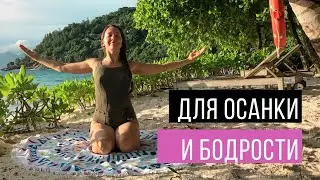 Легкая разминка сидя. Осанка, красота, бодрость в одном упражнении для спины.