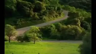 peaceful video