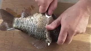 Давай отменим понедельники!