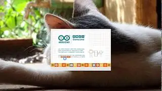 Convert Arduino to Assembly code
