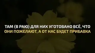 Мансур Мухиддин | Сура 50 Каф | Красивое чтение Корана