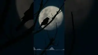 #witchhouse