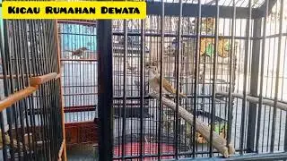 trek srdc selesai gantangan