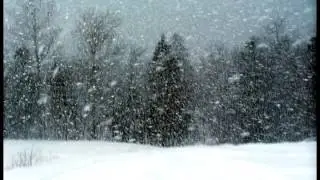 Wind sound effect 2 - snow storm