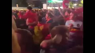 Болельщики Уэльса празднуют победу и выход в полуфинал Чемпионата Европы. Wales fans.