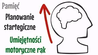 CZY GRY KOMPUTEROWE SPRAWIAJĄ, ŻE JESTEŚ MĄDRZEJSZY? - Kotwicz