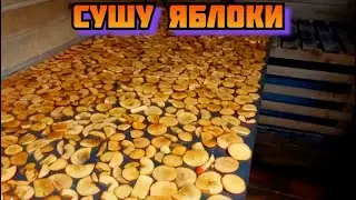 How to dry apples quickly. Winter food prep
