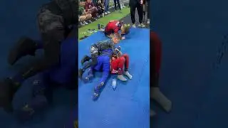 Борцухи маленькие 