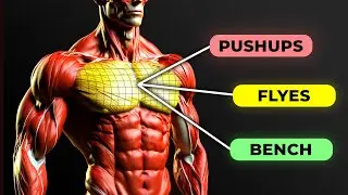 The BEST Exercises For A Huge Chest (+ worst exercises)