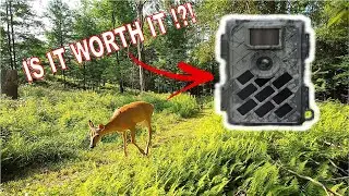 Vermont Early Season Scouting With NEW WingHome 630M Trail Camera