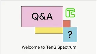 What is a Domain Name? | TenG Answers