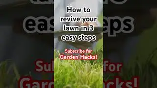 Lawn Care #lawncare #lawn #fyp