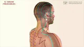 Меридиан на трите нагревателя  - КИТАЙСКАТА ТРАДИЦИОННА МЕДИЦИНА