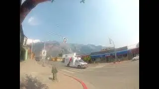 Mimosa  growing as a street tree  in Lillooet, B.C.