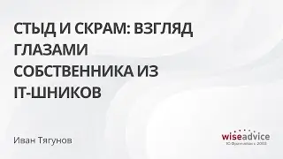 Стыд и Скрам: взгляд глазами собственника из IT-шников