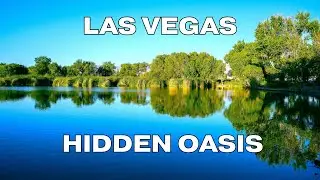 Hidden Oasis in Vegas