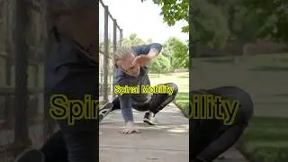 Spinal mobility in 3 steps