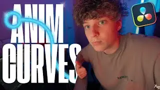 How To Use ANIM CURVES | DaVinci Resolve