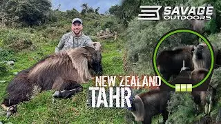 TAHR Hunting in NEW ZEALAND