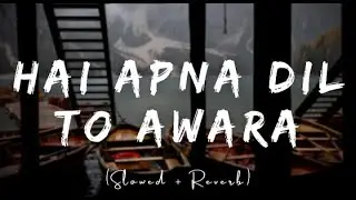 Hai Apna Dil To Awara Lyric (Slowed + Reverb) | Bollywood Songs | Hindi Song | New Song | Lofi |
