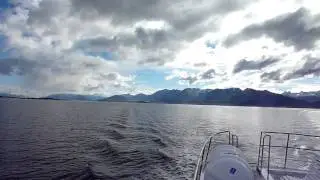 Ushuaia - Beagle Channel