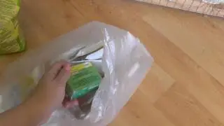 01 Разведение попугаев Две пары Перед разведением