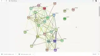 String website