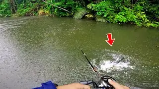 Trip hujan LEBAT tapi ikan toman garang!