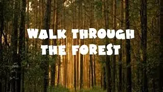 Walk through the forest