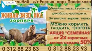 Рекламный ролик для контактного зоопарка Живая экзотика