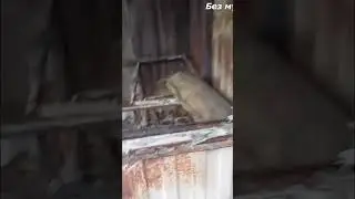 Угледар 2022, сгоревший рынок