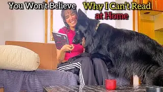 “You Won’t Believe Why I Can’t Read at Home 😂🐕📖”