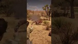 Simulate great survival skills, 