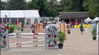 Click clack , gelding 2015 by Comilfo plus